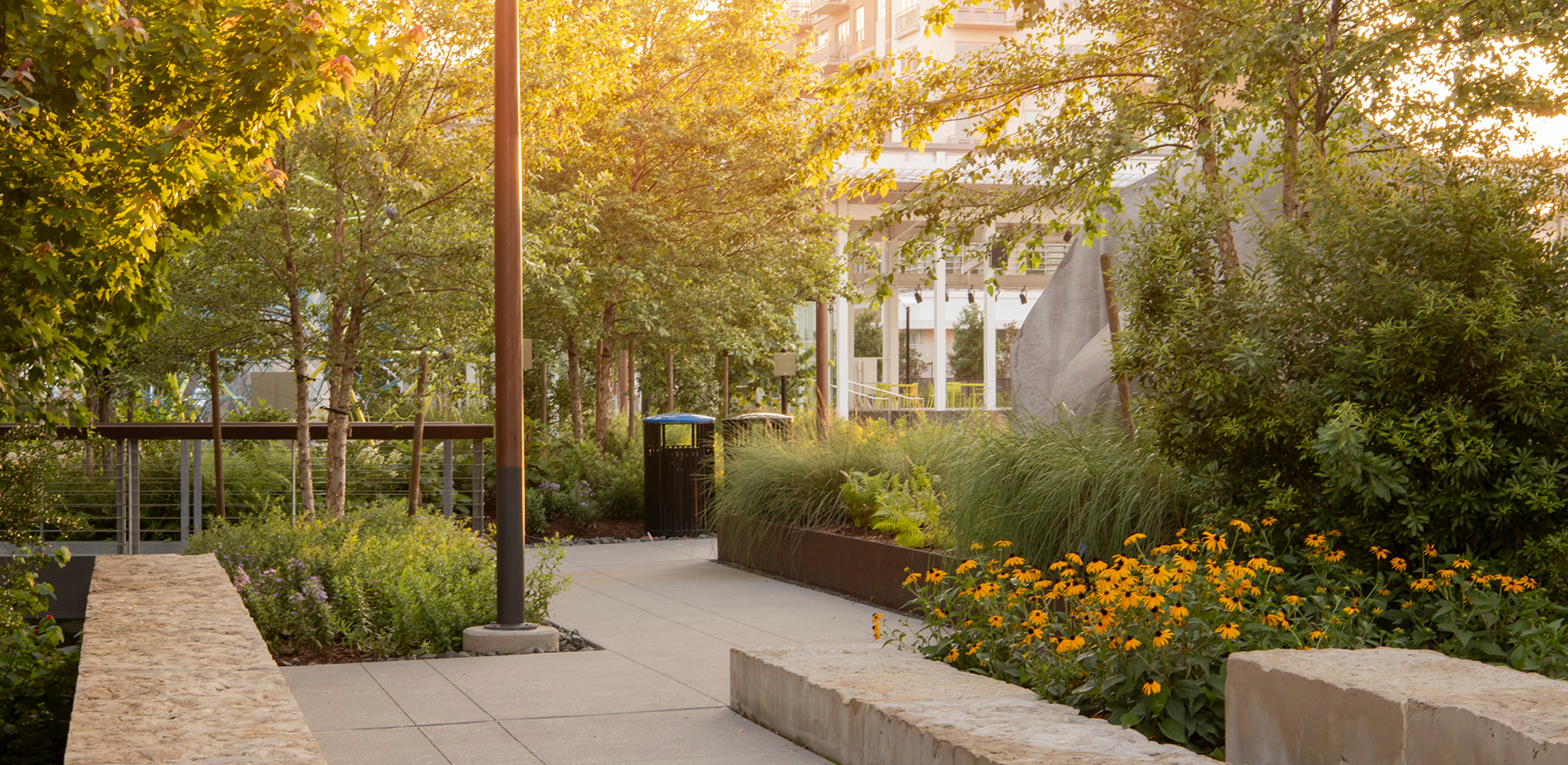 Urban Native Gardens